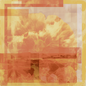 plexiglas,dibond,ingelijst,canvas,poster