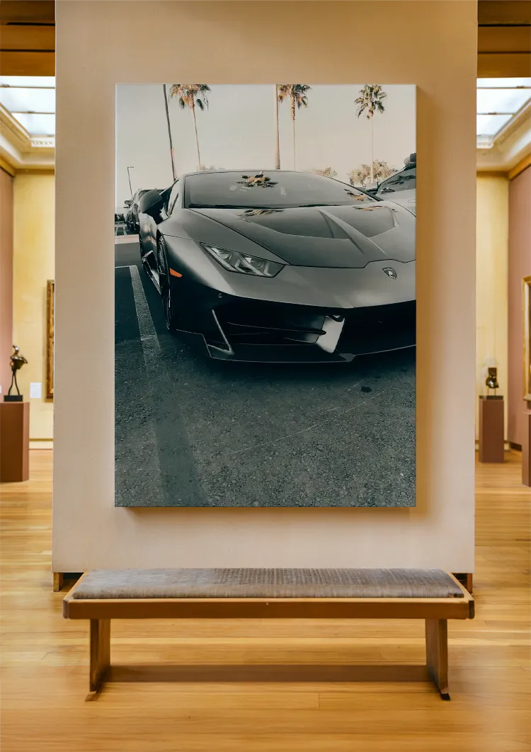 canvas canvas