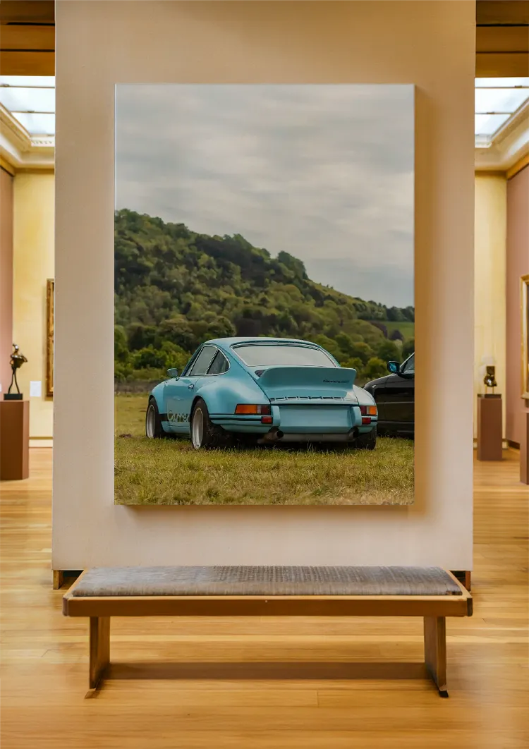 canvas canvas