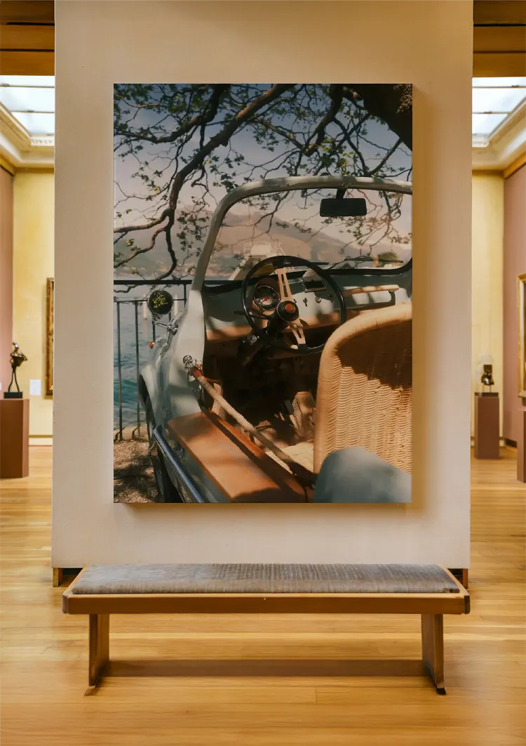 canvas canvas