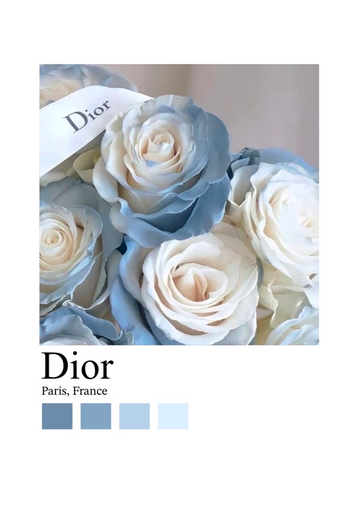 dibond,ingelijst,canvas,poster