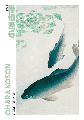 dibond,ingelijst,canvas,poster