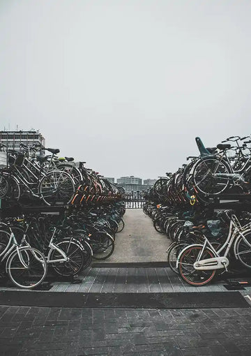 dibond,ingelijst,canvas,poster