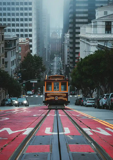 dibond,ingelijst,canvas,poster