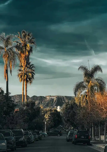 dibond,ingelijst,canvas,poster