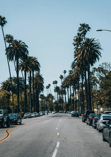 dibond,ingelijst,canvas,poster