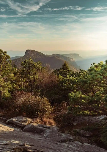 dibond,ingelijst,canvas,poster