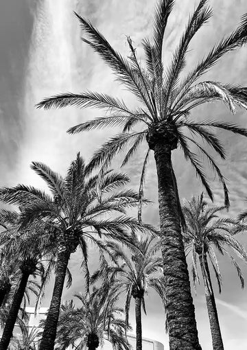 dibond,ingelijst,canvas,poster