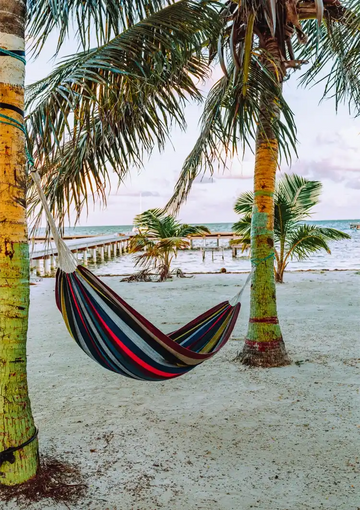 dibond,ingelijst,canvas,poster