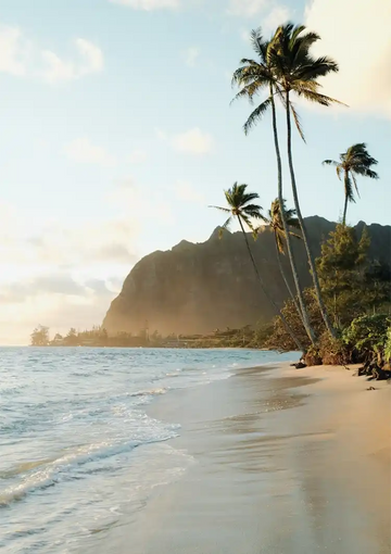 dibond,ingelijst,canvas,poster