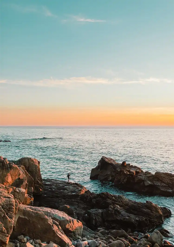 dibond,ingelijst,canvas,poster