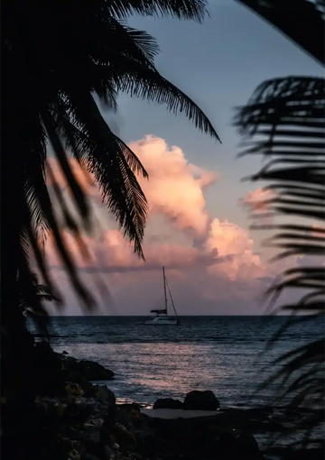 dibond,ingelijst,canvas,poster