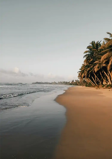 dibond,ingelijst,canvas,poster