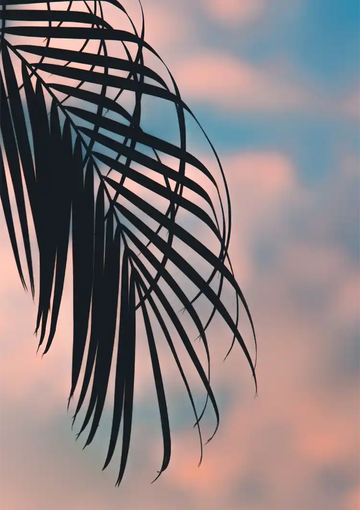 dibond,ingelijst,canvas,poster