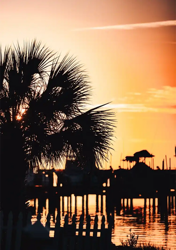 dibond,ingelijst,canvas,poster