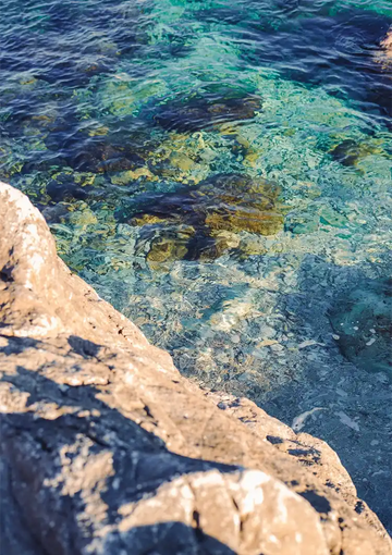 dibond,ingelijst,canvas,poster