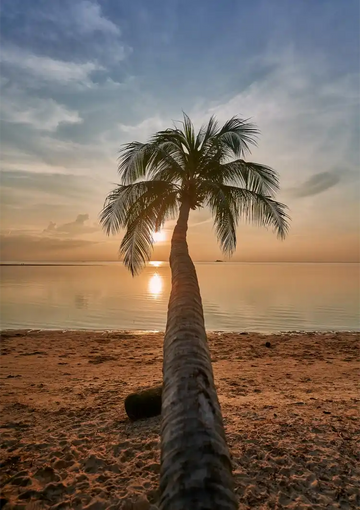 dibond,ingelijst,canvas,poster