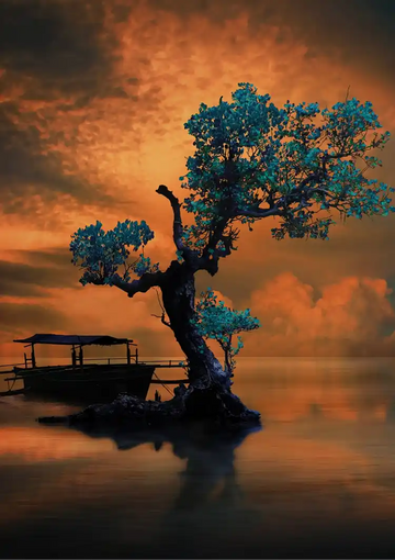 dibond,ingelijst,canvas,poster