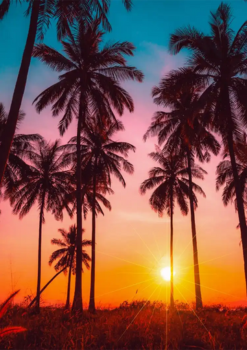 dibond,ingelijst,canvas,poster