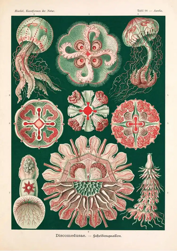 dibond,ingelijst,canvas,poster