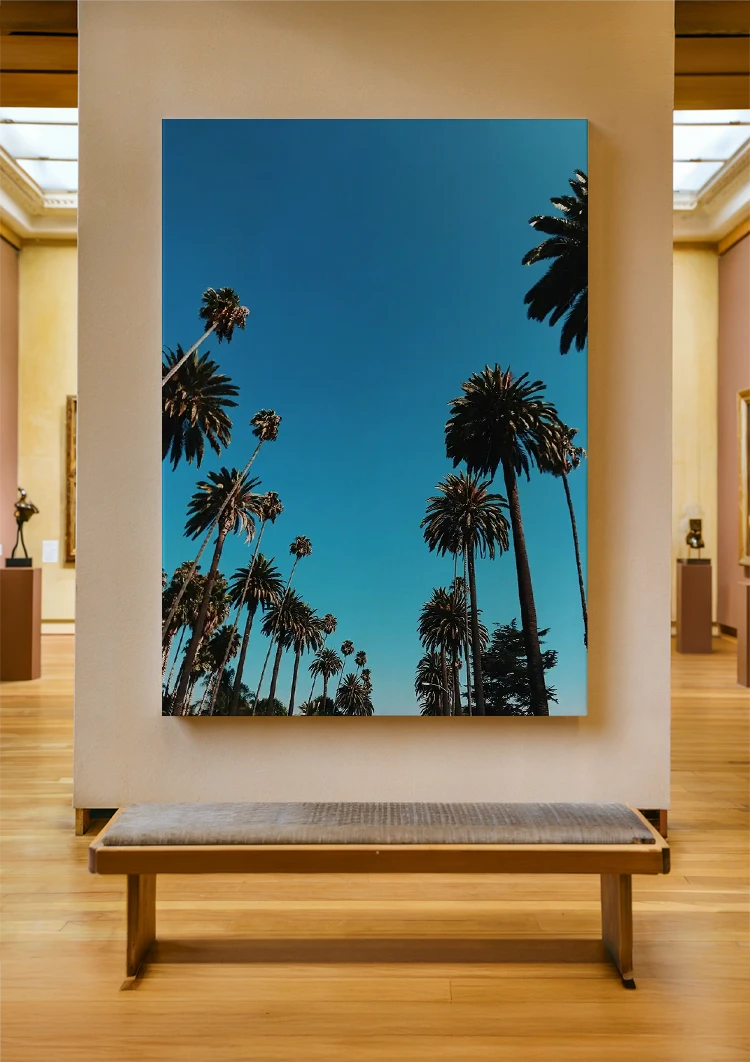 canvas canvas