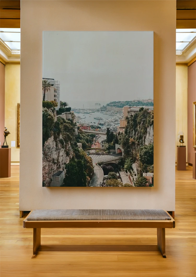 canvas canvas