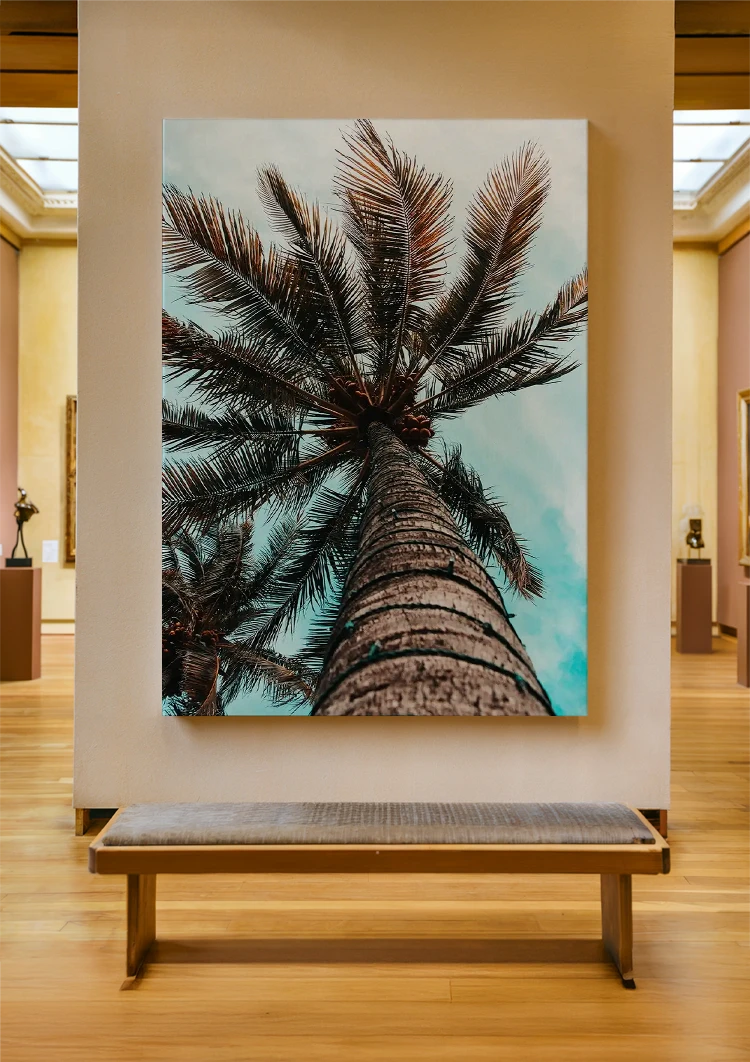 canvas canvas