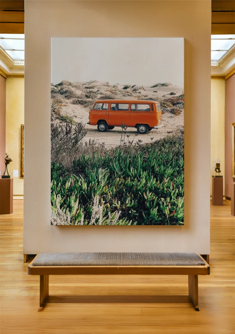 canvas canvas