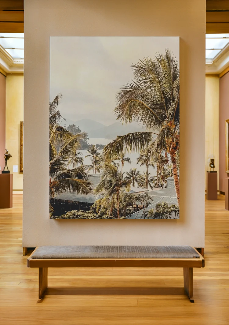 canvas canvas