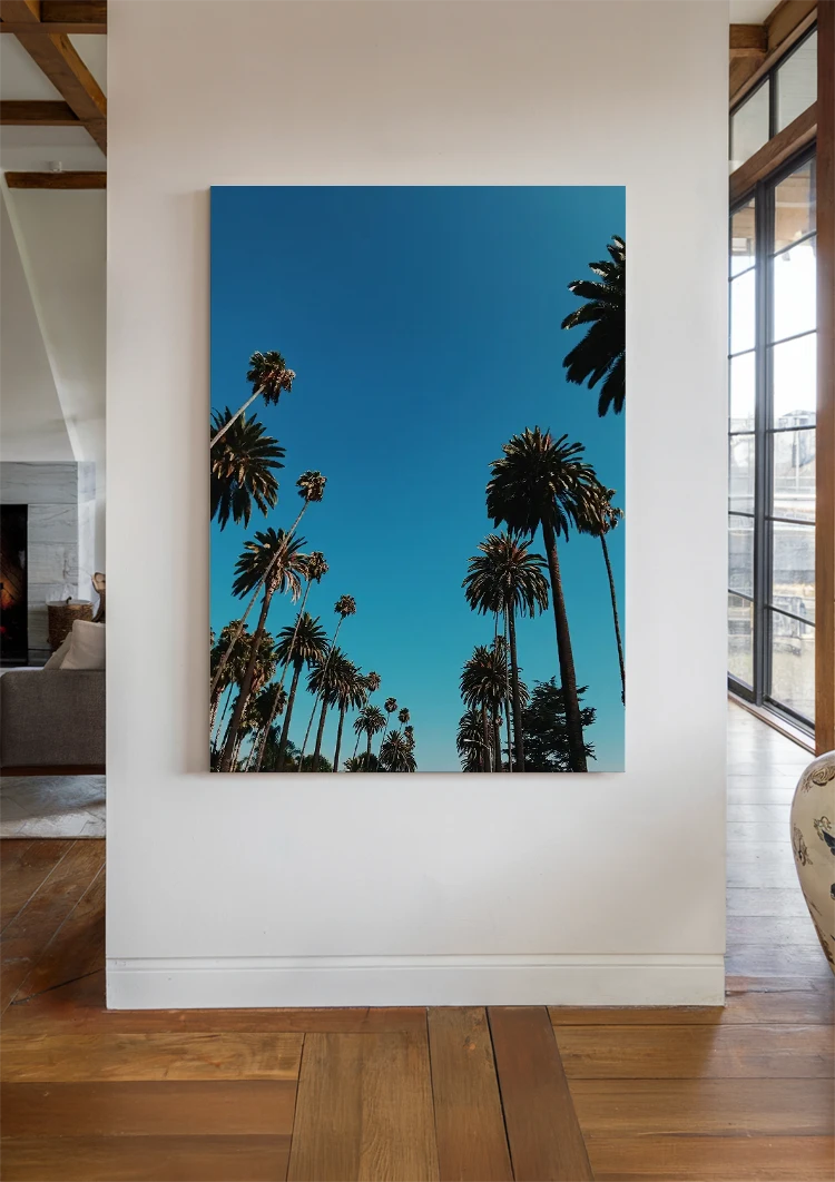 canvas canvas