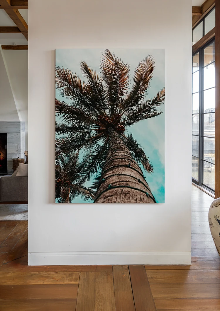 canvas canvas
