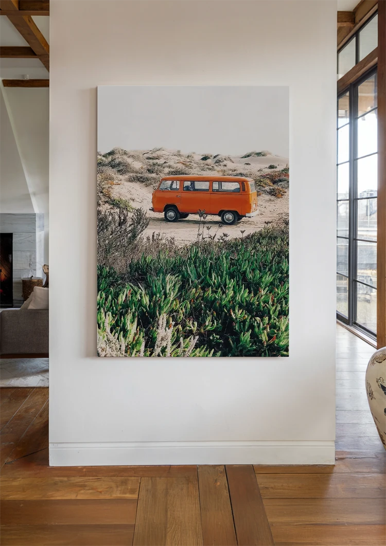 canvas canvas