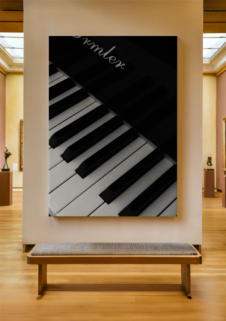 canvas canvas