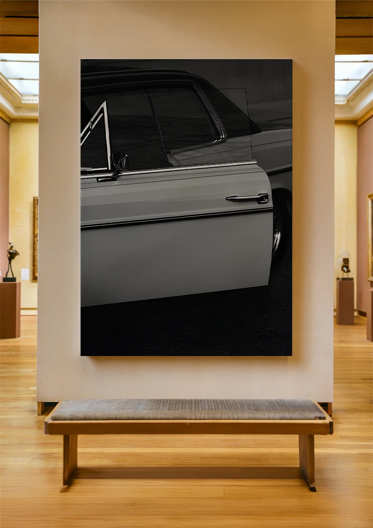 canvas canvas