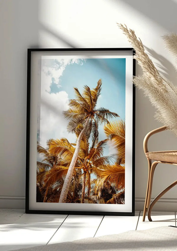 Een ingelijste foto van hoge palmbomen met gele en groene bladeren onder een blauwe lucht met wolken leunt tegen een witte muur. Gedroogd pampagras in een vaas en een rieten stoel zijn rechts gedeeltelijk zichtbaar, wat de wanddecoratie versterkt. Het kunstwerk is getiteld "Onderaanzicht Prachtige Palmbomen Schilderij" van CollageDepot.,Zwart