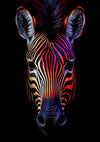 Close-up van het hoofd van een zebra tegen een zwarte achtergrond, met zijn strepen verlicht in levendige tinten rood, paars en oranje. De verlichting accentueert de details van zijn oren, ogen en neus. Helaas lijkt er geen productbeschrijving te zijn voor verdere contextanalyse voor de CollageDepot aab 211 AI.-