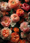 Een close-up van een verscheidenheid aan bloeiende bloemen in de kleuren perzik, roze, wit en oranje. De bloemen hebben gelaagde bloembladen, waarbij enkele knoppen zichtbaar zijn tussen het gebladerte. De afbeelding benadrukt de delicate texturen en natuurlijke schoonheid van de bloemen als een perfecte wanddecoratie: Bloeiende Pracht Schilderij van CollageDepot.