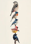 Een verticale opstelling van zes verschillende vogelsoorten, zittend op een tak tegen een effen achtergrond. Vanaf de bovenkant toont het Vogels Op Wacht Schilderij vogels met een verscheidenheid aan campagneverenkleed, waaronder zwart en wit, oranje en blauw, blauw, rood en geel en donkerblauw. Dit prachtige stuk wordt aangeboden door CollageDepot.