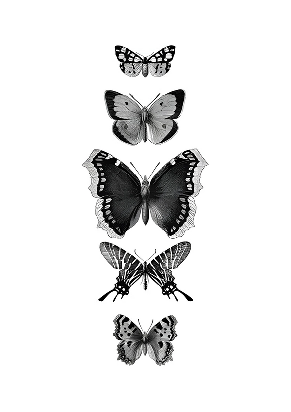 Een zwart-witillustratie van zes verschillende vlindersoorten, verticaal gerangschikt in volgorde van grootte, van klein naar groot. De bovenste en onderste vlinders zijn de kleinste, terwijl de middelste vlinder de grootste is. Dit prachtige kunstwerk toont verschillende vleugelpatronen en vormen, perfect als wanddecoratie met een magnetisch ophangsysteem. Een voorbeeld hiervan is het Vijf Verschillende Vlinders Op Een Rij Schilderij van CollageDepot.-