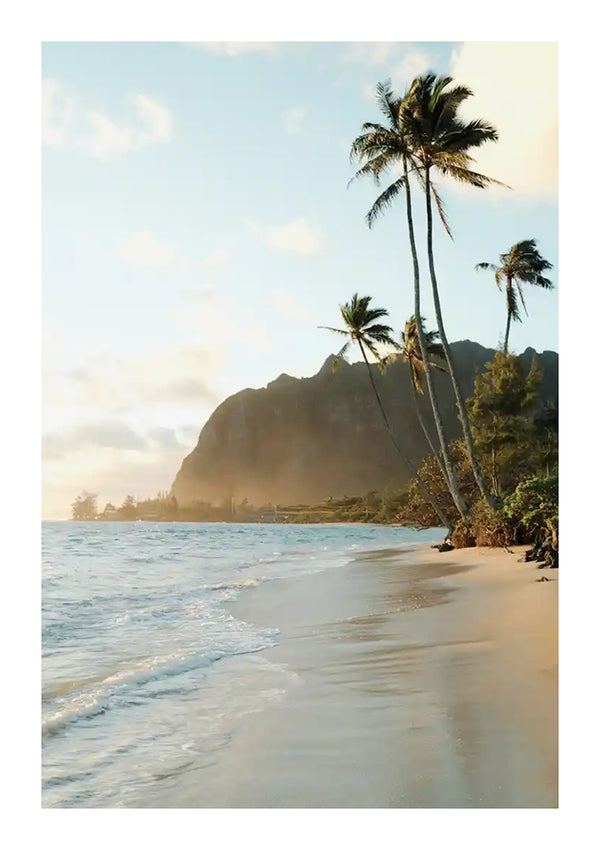 Een zandstrand met zachte golven, aan de rechterkant begrensd door hoge, slanke palmbomen. Op de achtergrond is er een bergachtig landschap met zacht, goudkleurig licht dat het tafereel verlicht. De lucht is overwegend helder met wat verspreide wolken, waardoor het perfect is om vast te leggen in een Sunny Beach Schilderij van CollageDepot om op te hangen als je volgende wanddecoratie.-