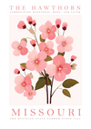 Illustratie van de meidoornbloem, de staatsbloem van Missouri sinds 1993, met roze bloesems en groene bladeren, met tekst die deze beschrijft als symbool van geluk, hoop en geloof uit CollageDepot's product 009 - bestsellers.-
