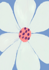 Een simplistisch schilderij van een witte bloem met zes bloemblaadjes en een gestippeld rood centrum, tegen een lichtblauwe achtergrond. De penseelstreken zijn zichtbaar en voegen textuur toe aan de afbeelding. (product 098 - bestsellers van CollageDepot)-