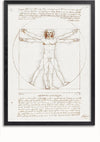 Een zwart ingelijste tekening van Leonardo da Vinci's "Vitruviusman" dient als opvallende wanddecoratie. De afbeelding toont een mannelijke figuur met uitgestrekte armen en benen in twee over elkaar heen liggende posities, ingeschreven in een cirkel en een vierkant. Handgeschreven notities omringen de figuur, perfect om tentoon te stellen met een CollageDepot Leonardo Da Vinci Vitruviusman Schilderij magnetisch ophangsysteem.
