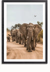 Een ingelijst Olifanten in Beweging Schilderij van CollageDepot toont een kudde olifanten die in één rij over een onverharde weg loopt, geleid door de grootste olifant. Een vogel vliegt boven je hoofd tegen een achtergrond van droge vegetatie en een heldere hemel.,Zwart-Met,Lichtbruin-Met,showOne,Met