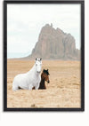 Een ingelijst Paarden in Landschap Schilderij van CollageDepot legt twee paarden vast in een woestijnlandschap met een grote rotsformatie op de achtergrond. Het ene paard is wit en het andere is bruin. De bewolkte lucht voegt een dramatische toon toe, en het meegeleverde magnetische ophangsysteem maakt het gemakkelijk om weer te geven.,Zwart-Zonder,Lichtbruin-Zonder,showOne,Zonder
