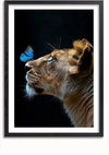 Een ingelijst schilderij toont een close-upprofiel van het gezicht van een leeuwin bij weinig licht. Op haar neus zit een blauwe vlinder, waardoor er een contrast ontstaat tussen de vacht van de leeuwin en de heldere vleugels van de vlinder. De donkere achtergrond benadrukt deze prachtige wanddecoratie, The Queen Schilderij van CollageDepot.,Zwart-Met,Lichtbruin-Met,showOne,Met