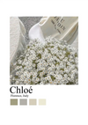 Een boeket van kleine witte bloemen, een perfecte Witte bloemen Cloé Parijs Schilderij van CollageDepot, wordt getoond tegen een grijs-witte achtergrond. Onderaan staat de tekst "Chloé" en "Florence, Italië". Onder de tekst staan vier kleurstalen in grijs- en beigetinten.-