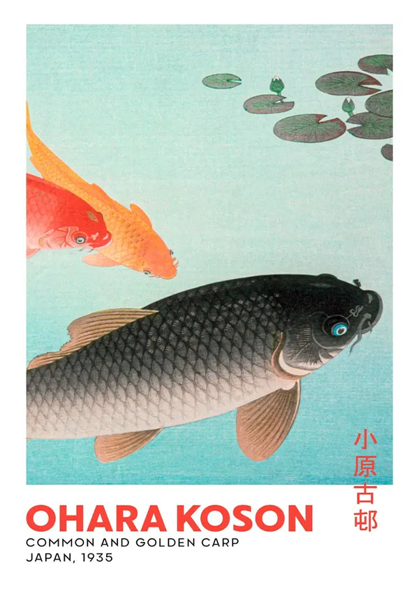 Een illustratie met een zwarte karper en een gouden karper die dichtbij waterlelies zwemt. De tekst in de afbeelding luidt: "CollageDepot, aaa 005 - japans, Japan, 1935" met extra Japanse karakters aan de rechterkant.-