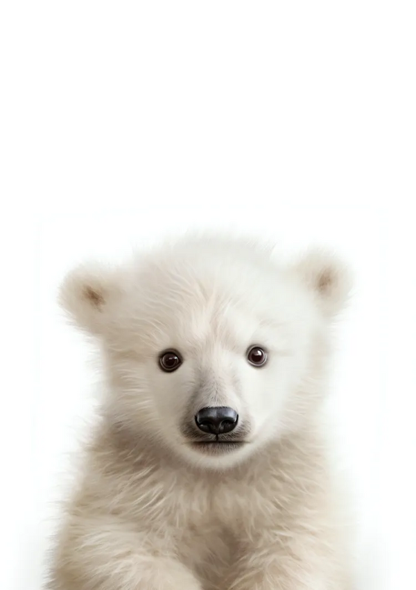 Een close-up van een ijsbeerwelp met witte, pluizige vacht die rechtstreeks in de camera kijkt. De achtergrond is effen wit. De afbeelding benadrukt de dcc 011 - kids van CollageDepot.-