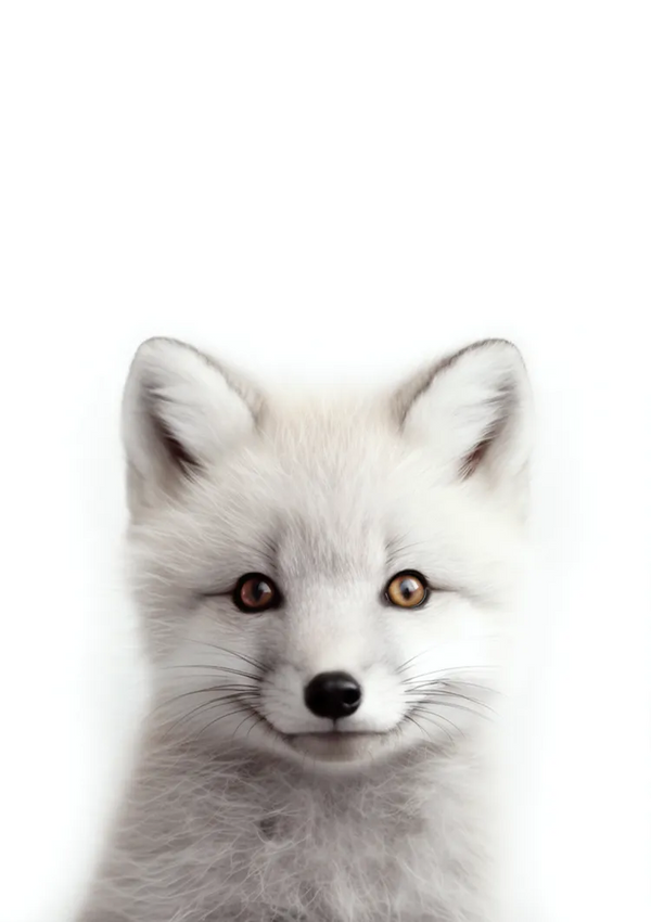 Afbeelding aan de voorzijde van een witte vos met één bruin oog en één blauw oog, gecentreerd tegen een effen witte achtergrond. De vacht van de vos ziet er zacht en donzig uit en de uitdrukking is neutraal en kalm. Productnaam: dcc 006 - kids Merknaam: CollageDepot-
